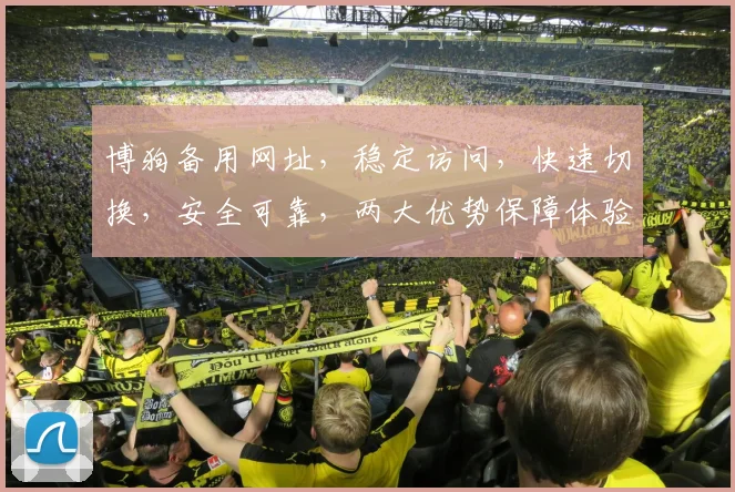 博狗备用网址，稳定访问，快速切换，安全可靠，两大优势保障体验，不容错过