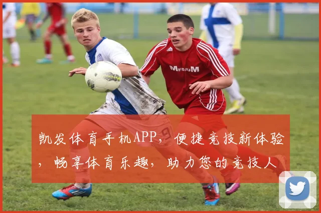 凯发体育手机APP，便捷竞技新体验，畅享体育乐趣，助力您的竞技人生，下载必看