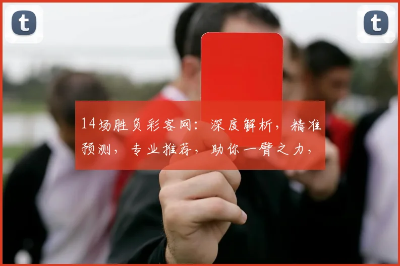 14场胜负彩客网：深度解析，精准预测，专业推荐，助你一臂之力，轻松中奖