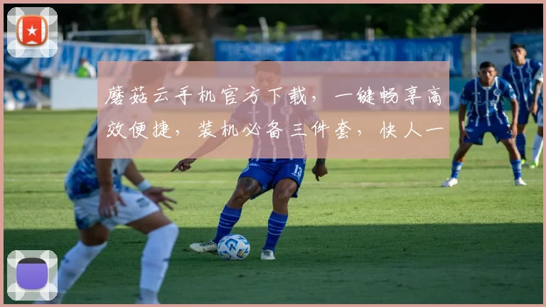 蘑菇云手机官方下载，一键畅享高效便捷，装机必备三件套，快人一步体验最佳